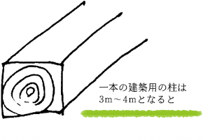 一本の建築用の柱は3m~4mとなると
