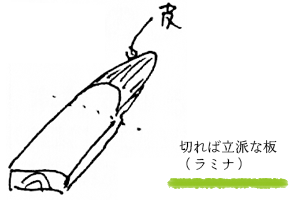 切れば立派な板(ラミナ)